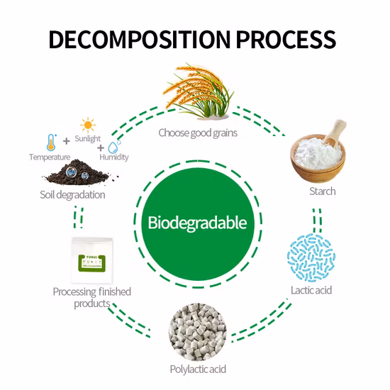 Kompostierbare Pbat/PLA-Maisstärke bedrucktes T